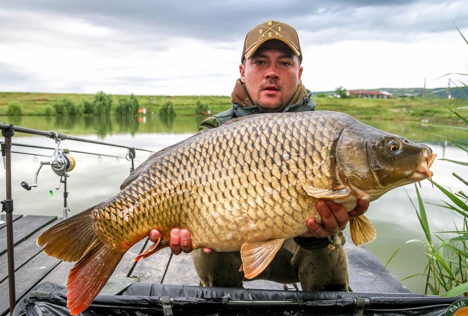 Jurnalul lui gor965: In pelete sa ne-ntrecem!